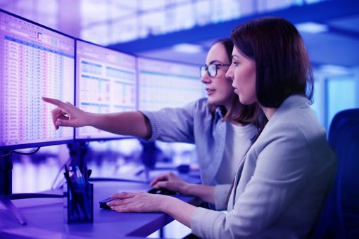 Female colleagues working together at computer screen